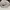 Nike Streetwear Skater Hat Pria white photo 4