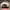 Nike Streetwear Skater Hat Pria white photo 3