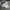 Nike Streetwear Sneakers Pria white green photo 2