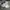 Nike Streetwear Sneakers Pria White Green