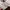 Stussy Streetwear Hoody Pria white photo 4