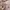 ZARA Casual Trench coat Kids pink photo 3