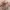 ZARA Casual Trench coat Kids pink photo 7