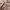 ZARA Casual Trench coat Kids pink photo 4