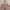 ZARA Casual Trench coat Kids pink photo 1