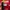 Adidas Sportswear Jersey Pria red photo 6