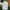 Champion Vintage Streetwear T-shirt Pria white photo 5
