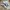 Adidas Casual Sneakers Pria black gray photo 1