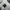 Mizuno Minimalist Short Pria white photo 5