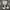 The North Face Sportswear Tracksuit Pria white photo 1