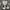 The North Face Sportswear Tracksuit Pria White