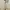 Fairy Coquette Babydoll dress Wanita silver pink photo 3