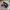 Adidas Casual Sneakers Pria white black photo 1