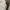 Dickies Streetwear Casual pants Pria tan photo 4