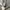 Agnès B Homme Streetwear Avant Garde Casual pants Pria white black photo 6