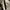 Rick Owens Vest Wanita white photo 5