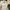Vintage Lolita Babydoll dress Wanita white photo 1
