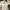 Vintage Lolita Babydoll Dress Wanita White