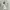 Vintage Lolita Babydoll dress Wanita white photo 3