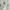 Vintage Lolita Babydoll dress Wanita white photo 2