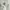 Vintage Lolita Babydoll Dress Wanita White