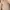 ASOS Casual Cardigan Wanita tan pink photo 2