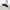 Russell Athletic Hoody Pria White Black