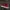 VANS Indie Casual Sneakers Pria white red photo 2