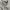 Japanese brand Gorpcore Tracksuit Pria gray photo 5