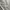 Japanese brand Gorpcore Tracksuit Pria gray photo 4