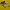 Pancoat Streetwear Sportswear Hoody Pria yellow photo 4