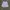 Nike ACG Gorpcore Short Pria gray photo 6