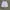 Nike ACG Gorpcore Short Pria gray photo 5