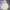 Puma Gorpcore Sportswear Fleece Pria tan photo 1