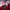 Umbro Sportswear Jersey Pria red photo 2