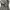 Takeo Kikuchi Luxury Casual Pea coat Wanita gray photo 6