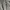 Takeo Kikuchi Luxury Casual Pea coat Wanita gray photo 3