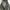 Takeo Kikuchi Luxury Casual Pea coat Wanita gray photo 5