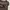 Casual Midi dress Wanita brown photo 4