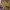 Streetwear Windbreaker Pria khaki yellow photo 6