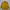 Streetwear Windbreaker Pria khaki yellow photo 1