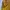 Streetwear Windbreaker Pria khaki yellow photo 5