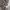 Juicy Couture Y2K Luxury Going out dress Wanita tan photo 3