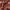 Japanese brand Vintage Cardigan Wanita burgundy photo 6