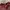 Japanese brand Vintage Cardigan Wanita burgundy photo 5