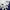 Kate Spade Luxury Going out dress Wanita navy photo 2