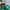 Luxury Minimalist Crossbody Bag Wanita green photo 3