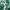 Luxury Minimalist Crossbody Bag Wanita green photo 6
