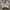 Puma Vintage Sportswear Track jacket Wanita white photo 4