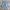 Short Pria blue photo 1
